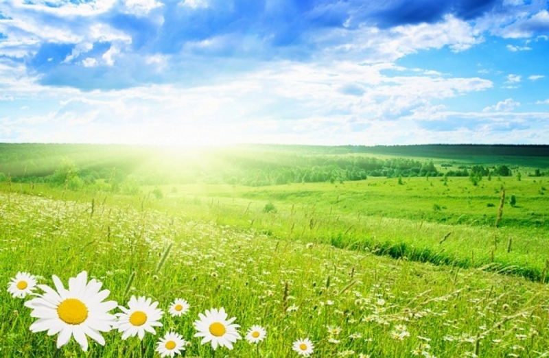 Синоптики уже не угрожают дождями: прогноз на 25 мая для Павлограда