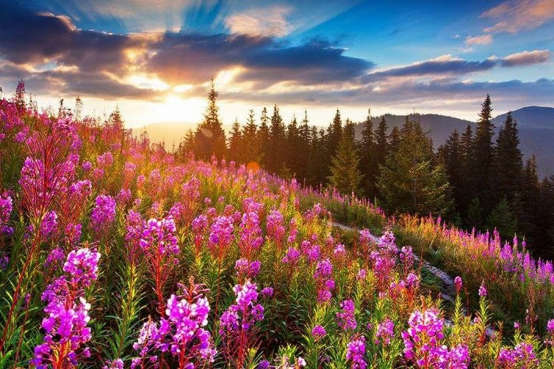 В первый день лета в Павлограде существенно снизится температура воздуха