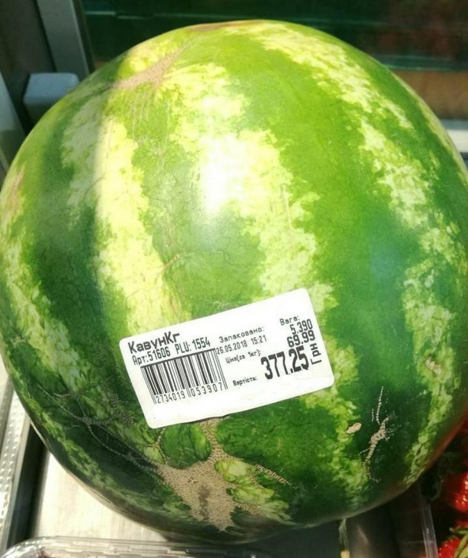 В Павлограде уже можно купить арбуз: одна штука обойдется почти в 400 гривен