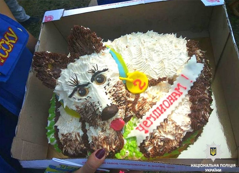 Павлоградцы триумфовали на кинологических соревнованиях в Сумах (ВИДЕО)