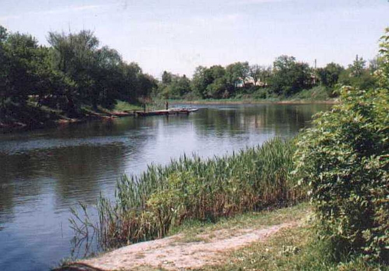 Действительно ли в Павлограде завод по производству сухариков загрязняет Волчью?