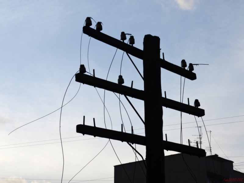 Прошлой ночью стихия оставила без света 212 населенных пунктов Днепропетровщины