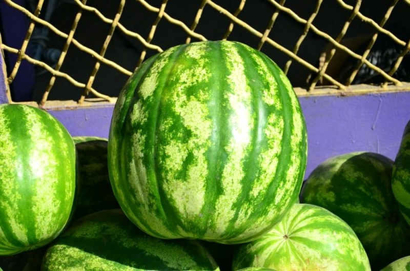 Арбузы и дыни: как выбирать, чтобы не отравиться? (ПОЛЕЗНО)