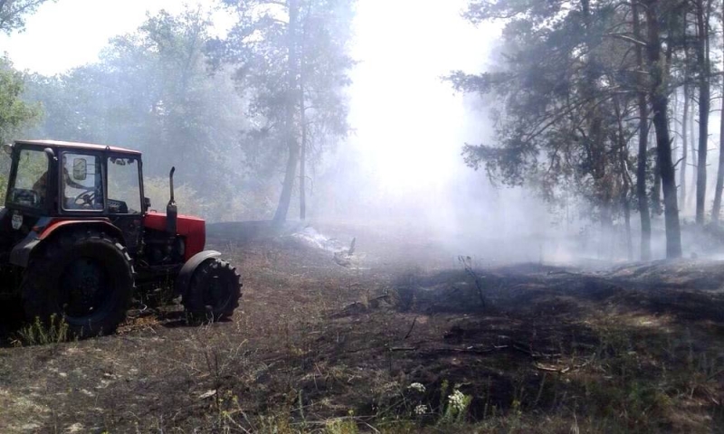 На Павлоградщине загорелся лес