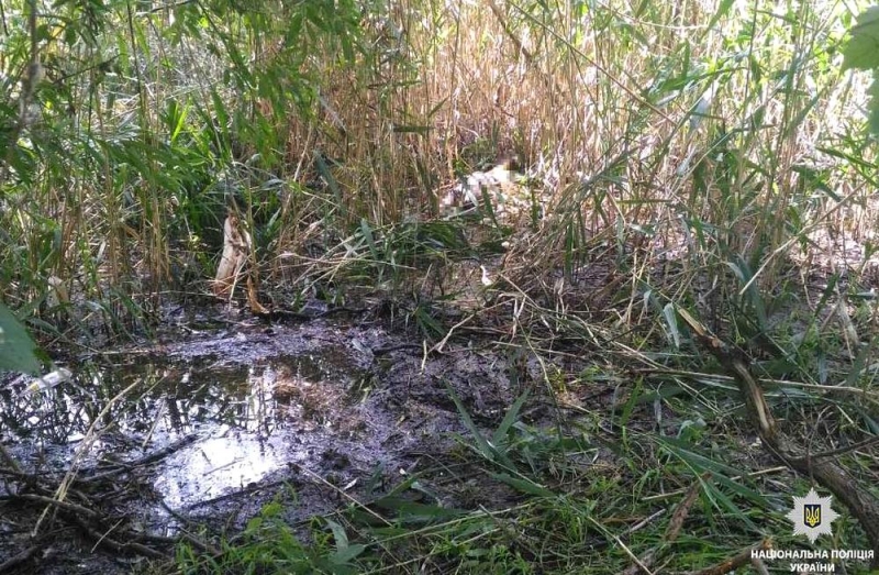 Пропавшую девочку, которую разыскивали на Днепропетровщине, обнаружили мертвой