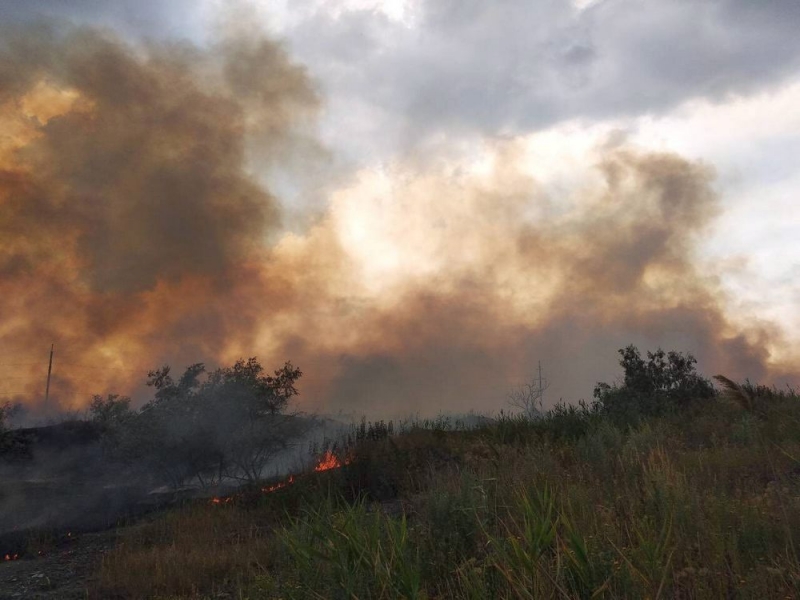 На Павлоградщине сгорело 4 гектара травы и камыша
