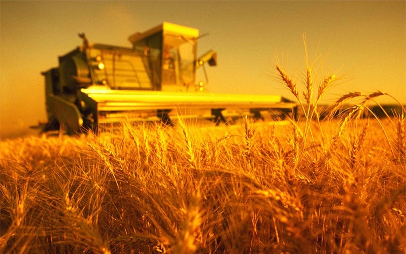 Народный прогноз: 4 августа остерегаются полевых работ