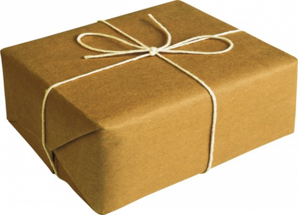 Павлоградец пытался отправить посылку с оружием