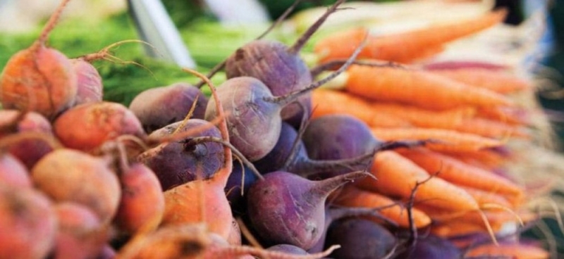 Народные приметы: 13 сентября следует начать уборку корнеплодов