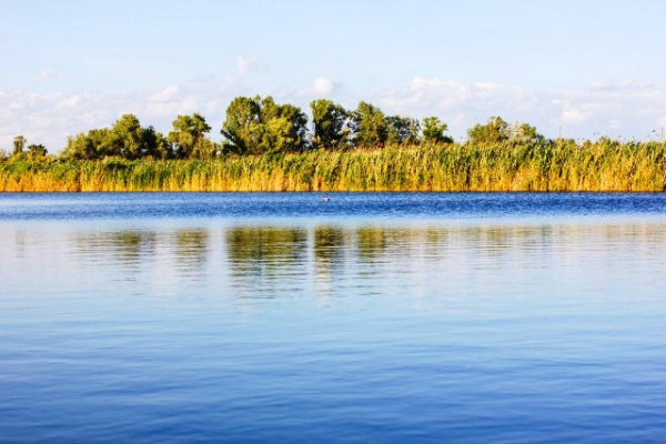 Уникальный ландшафтный комплекс создали в Павлоградском районе