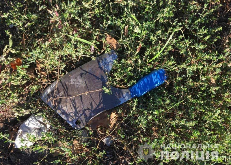 На Днепропетровщине мужчина на глазах у детей зарубил сожительницу топором