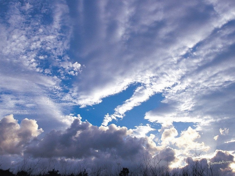Народный прогноз: считалось, что с 19 октября подкрадывается зима