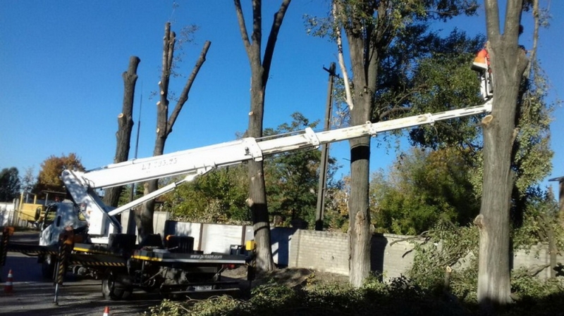 В Павлограде подходит к концу «омоложение» улицы Шутя