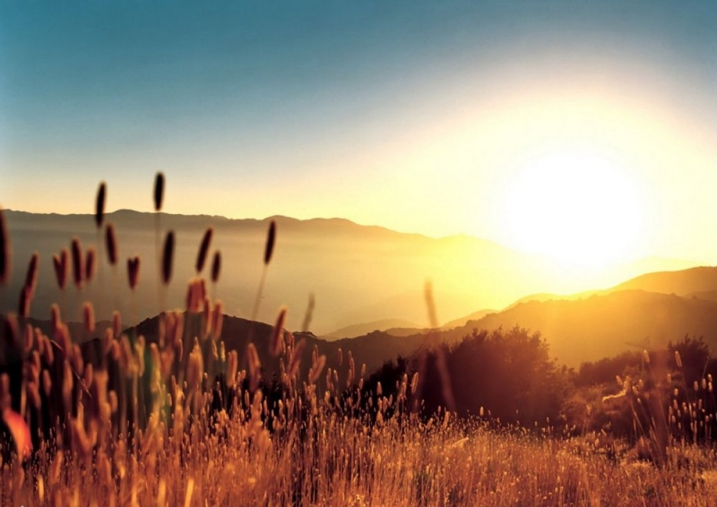 Тепло возвращается: синоптики спрогнозировали погоду на ближайшие дни