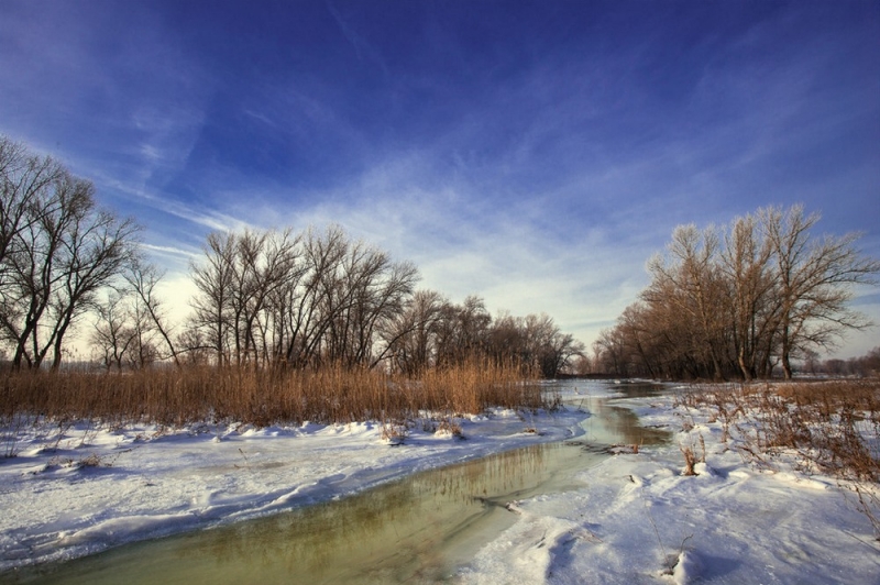 Народные приметы: 14 ноября считалось началом зимы