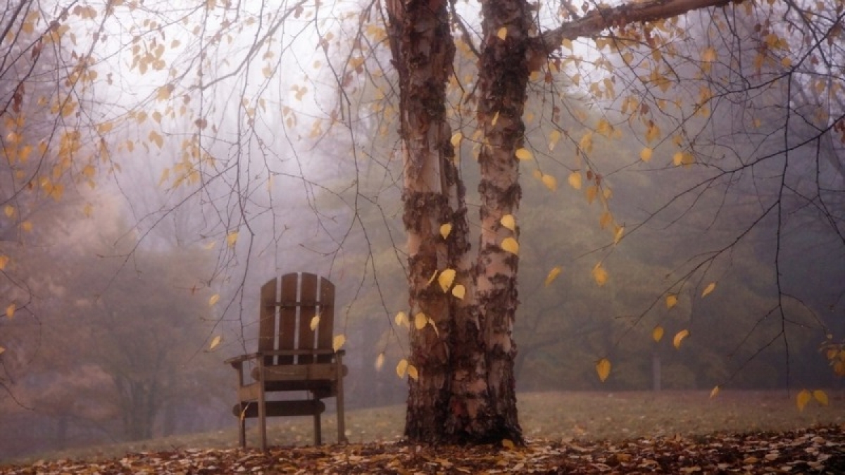 Народные приметы: предки верили, что 16 ноября нечистая сила спускается на землю