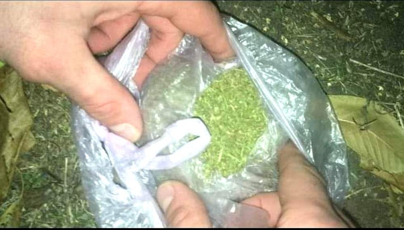 В Павлограде, Терновке и Першотравенске копы собрали «наркотический букет»