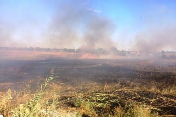 Павлоград снова в дыму: горят торфяники и сухостой