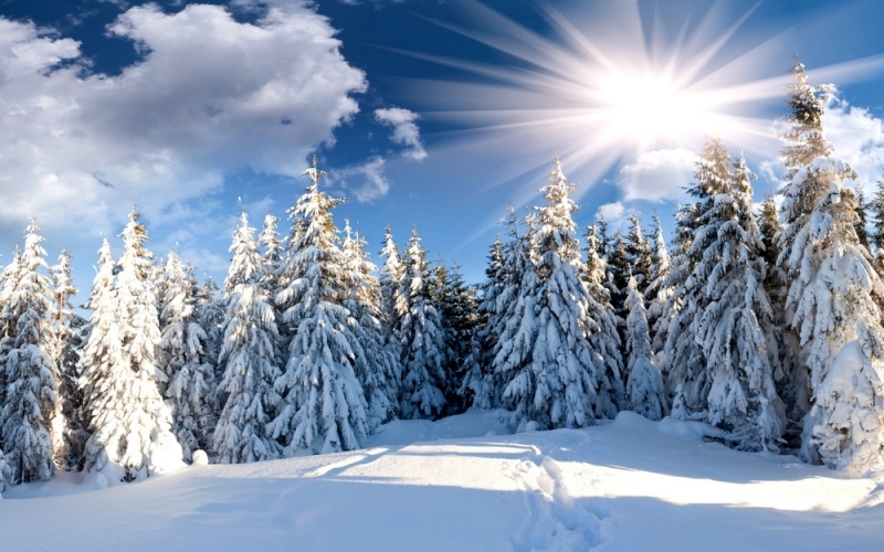 Юрьев день: 9 декабря нужно раздать имеющиеся долги