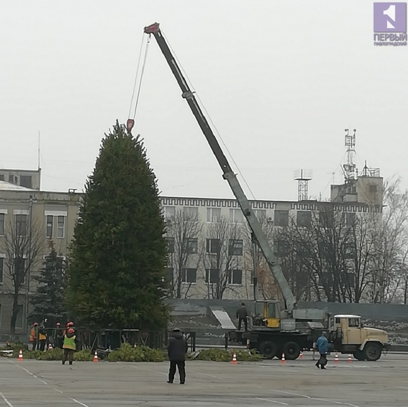 На Соборной площади Павлограда будет красоваться 19-метровая елка