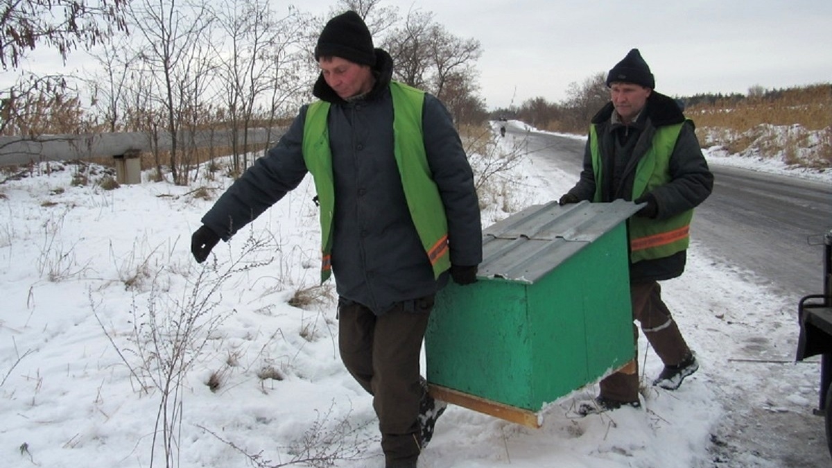 Павлоградские коммунальщики смастерили бездомным собакам утепленные будки