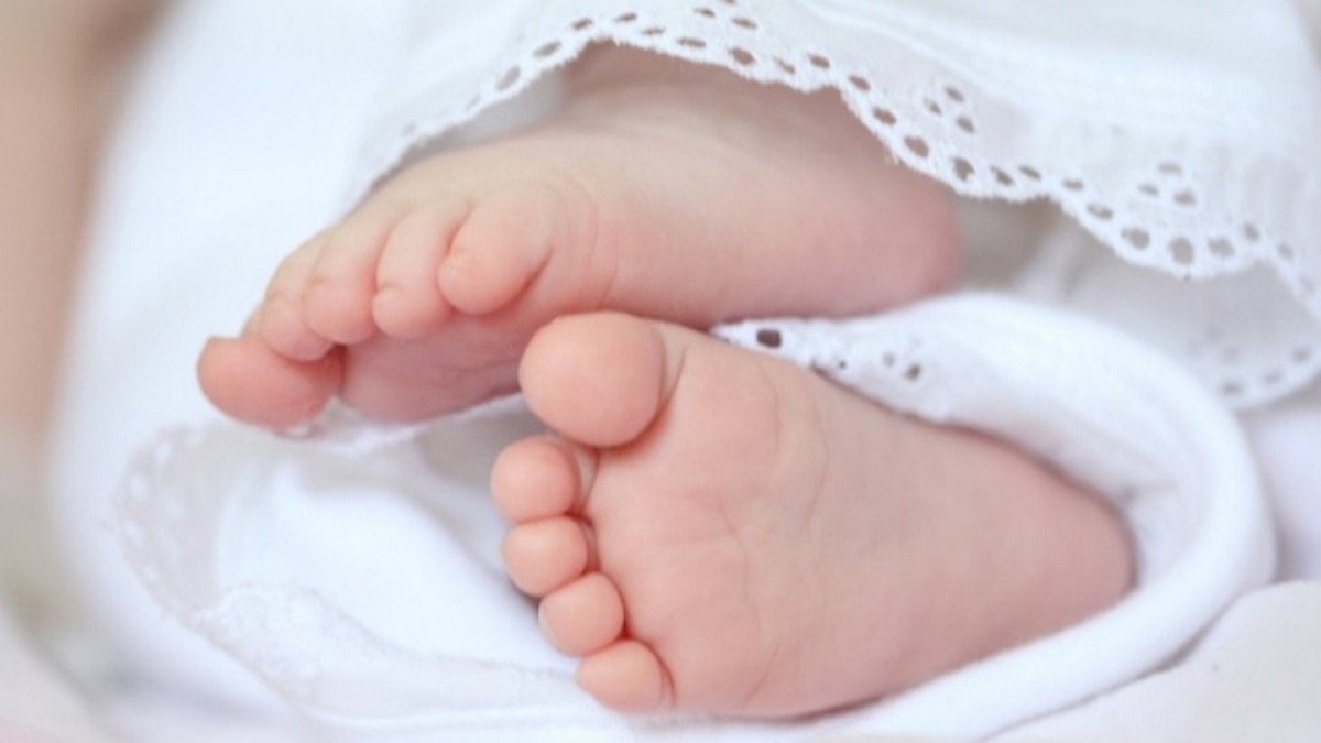 В течение новогодних праздников в Павлограде родилось 7 детей