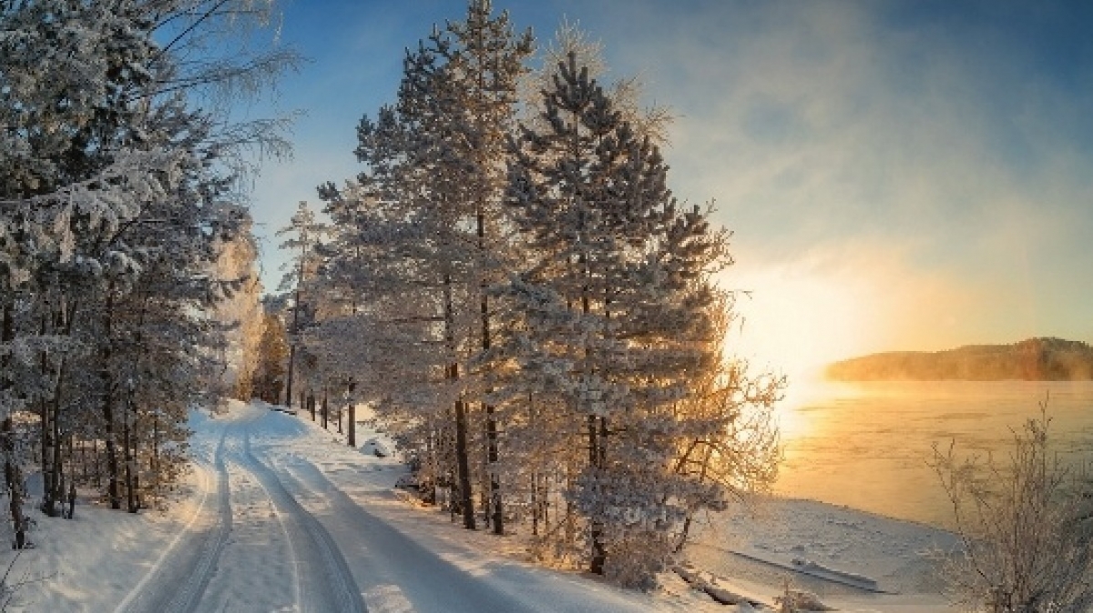 10 января – День преподобного Игнатия, Домочадцев день