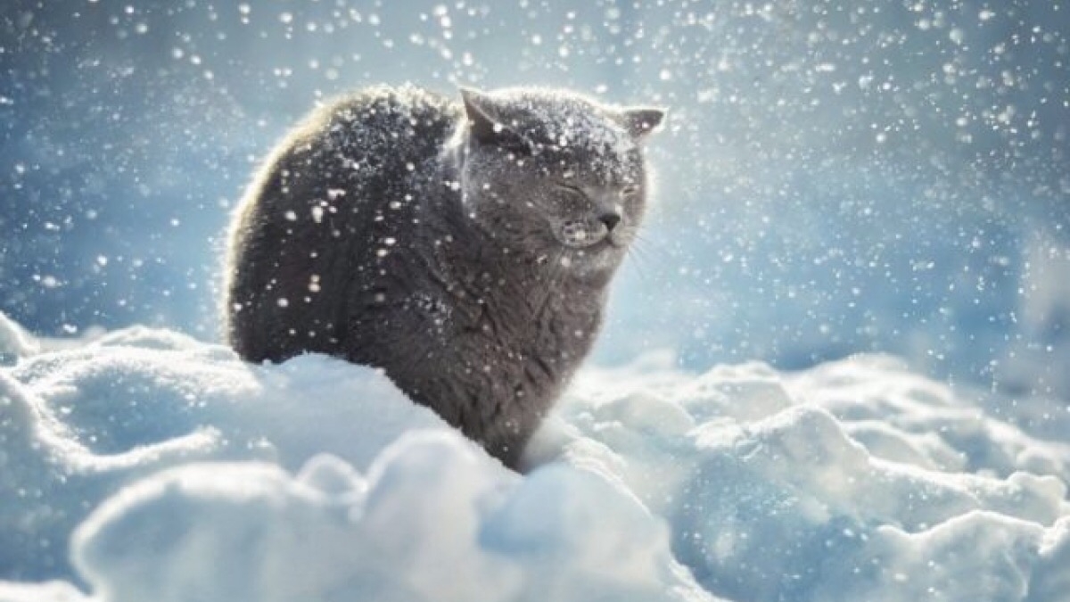 14 января 2019 объявлено штормовое предупреждение. Какой будет ближайшие 3 дня