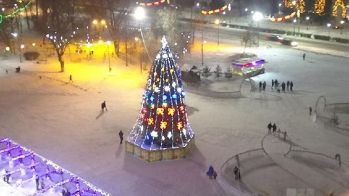 В Павлограде закрыли новогоднюю елку