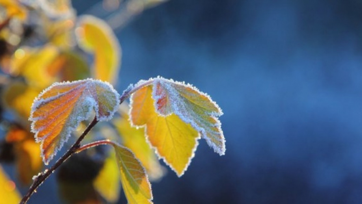Гололед и туман, в области объявили штормовое предупреждение