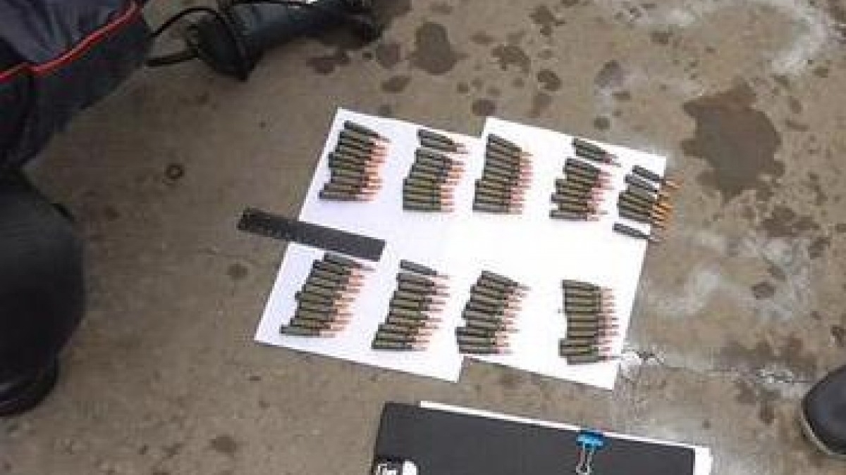 У жителя Терновки полицейские изъяли 87 патронов