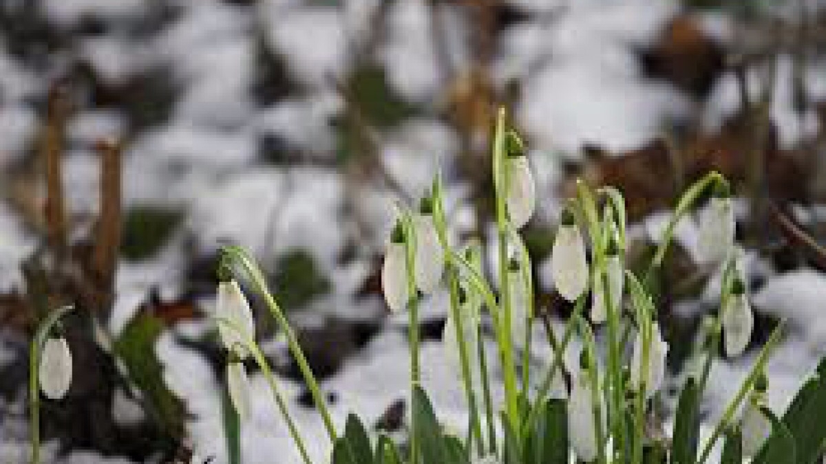 В Украину идет потепление с Европы - синоптики