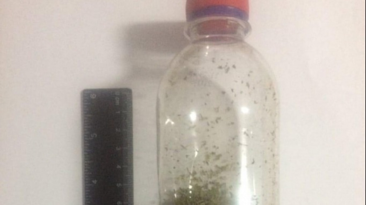 Во время обыска правоохранители изъяли у жителя Терновки патроны и наркотики