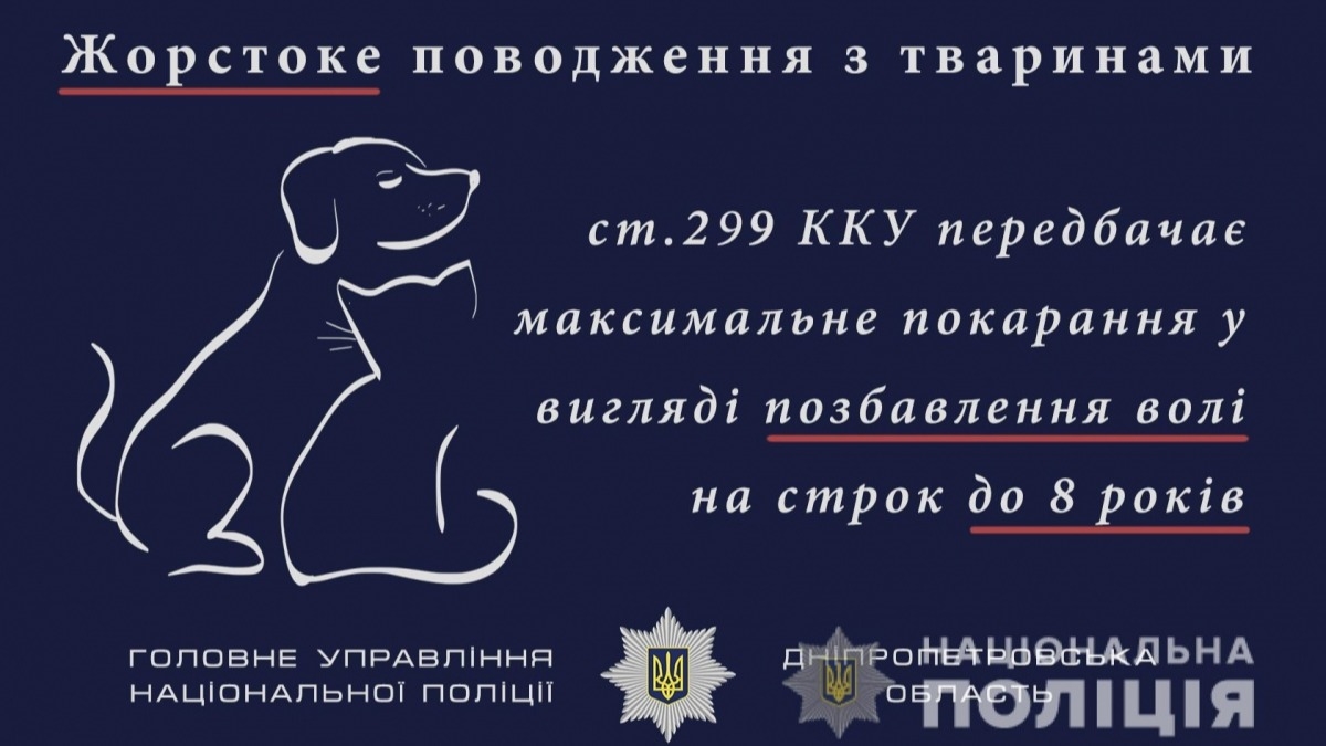 За год полиция области открыла 22 уголовных дела за издевательство над животными