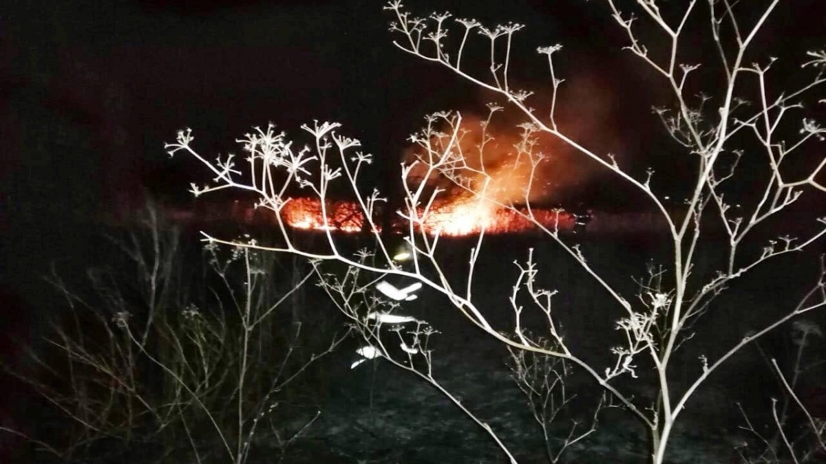 За неделю в Павлограде 5 раз тушили пожар в экосистеме